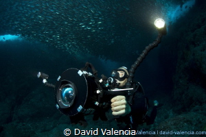 This diver videos a swim through a huge school of green j... by David Valencia 